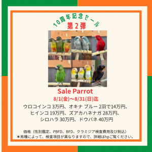 赤 緑　ポップ　飲食店　LINE リッチメッセージ - 2